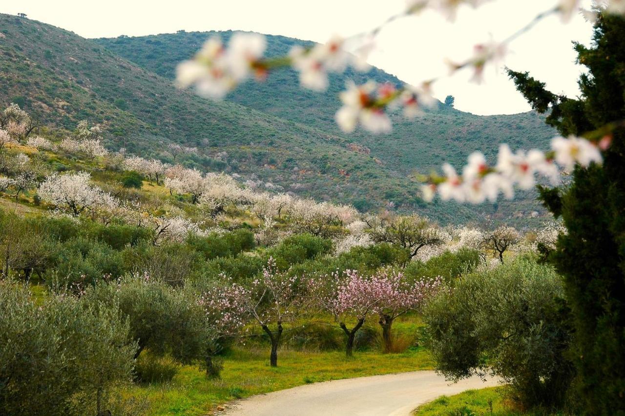 Casa Lago Bédar Εξωτερικό φωτογραφία